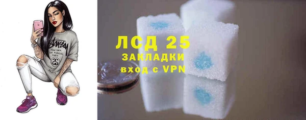 ГАЛЛЮЦИНОГЕННЫЕ ГРИБЫ Кодинск