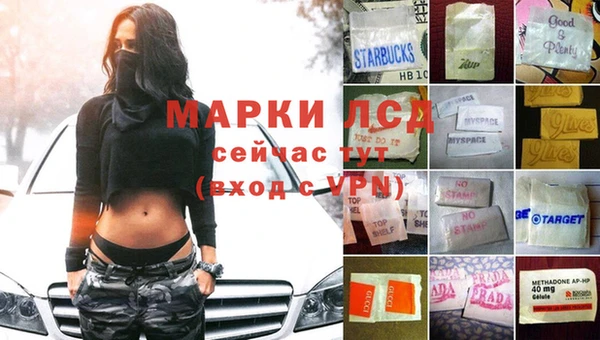 ГАЛЛЮЦИНОГЕННЫЕ ГРИБЫ Кодинск