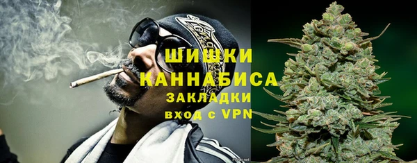 ГАЛЛЮЦИНОГЕННЫЕ ГРИБЫ Кодинск