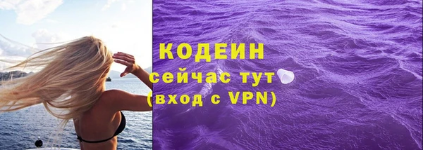 ГАЛЛЮЦИНОГЕННЫЕ ГРИБЫ Кодинск