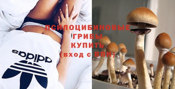 бошки Козловка
