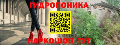 ГАЛЛЮЦИНОГЕННЫЕ ГРИБЫ Пушкино