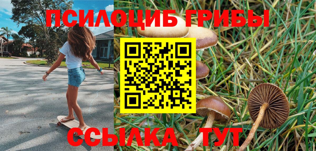Псилоцибиновые грибы GOLDEN TEACHER Подольск