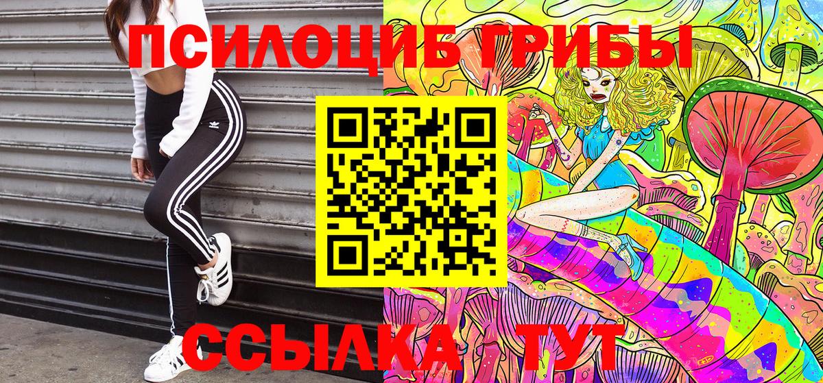 Галлюциногенные грибы Psilocybine cubensis  Псилоцибиновые грибы Cubensis  Вход с VPN  Подольск 